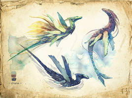Sea dragons