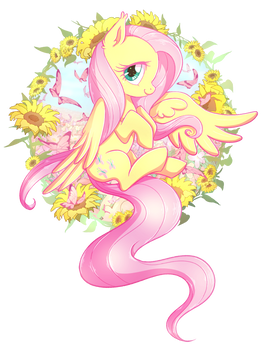 +MLP+ Fluttershy