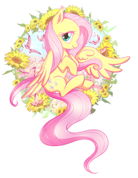 +MLP+ Fluttershy