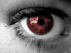 Red Eye