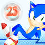 Happy 25 Birthday Sonic!!