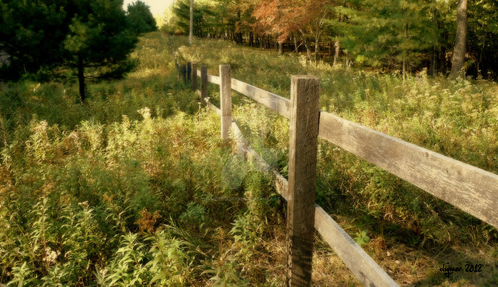 Fence Line