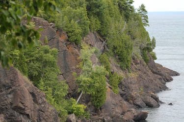 Rocky Tree Coast