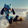 Sea Foam