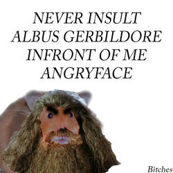 HAGRID GERBIL