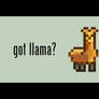 Got Llama Wallpaper