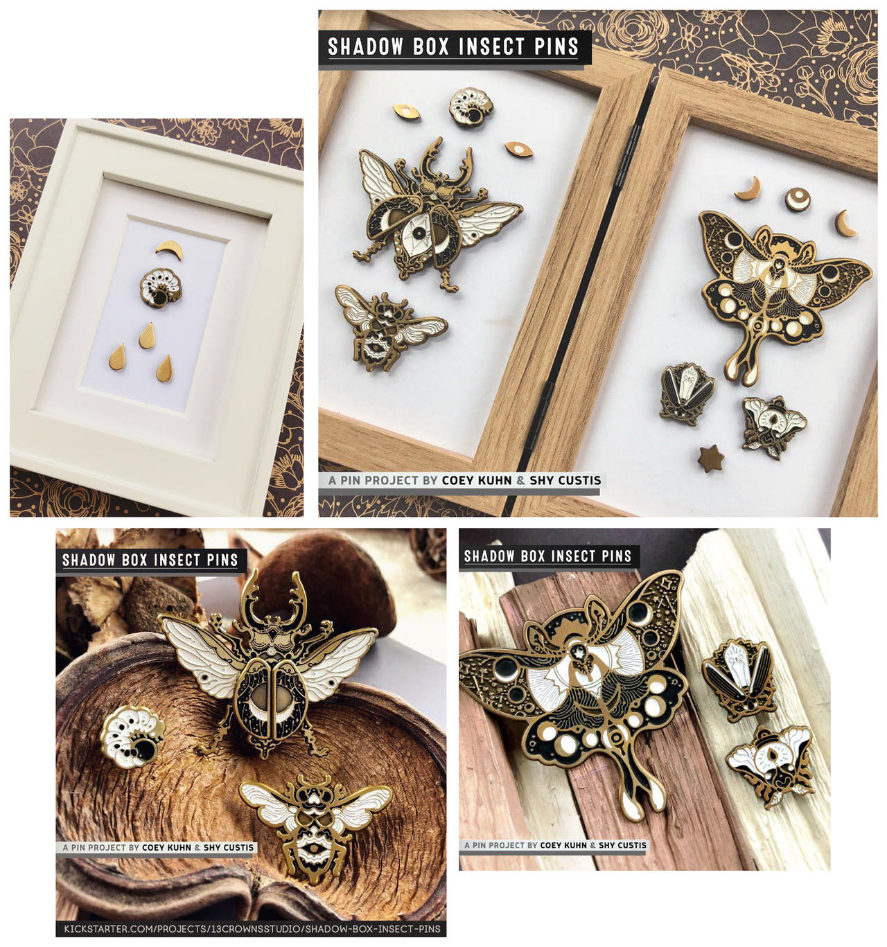 Shadowbox Insects: PIN SAMPLES! by CoeyKuhn on DeviantArt