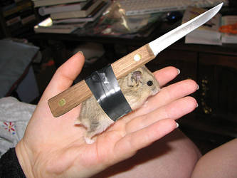 Battle Hamster