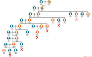 pineora au family tree pt 1