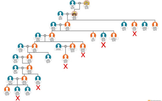 pineora au family tree pt 1