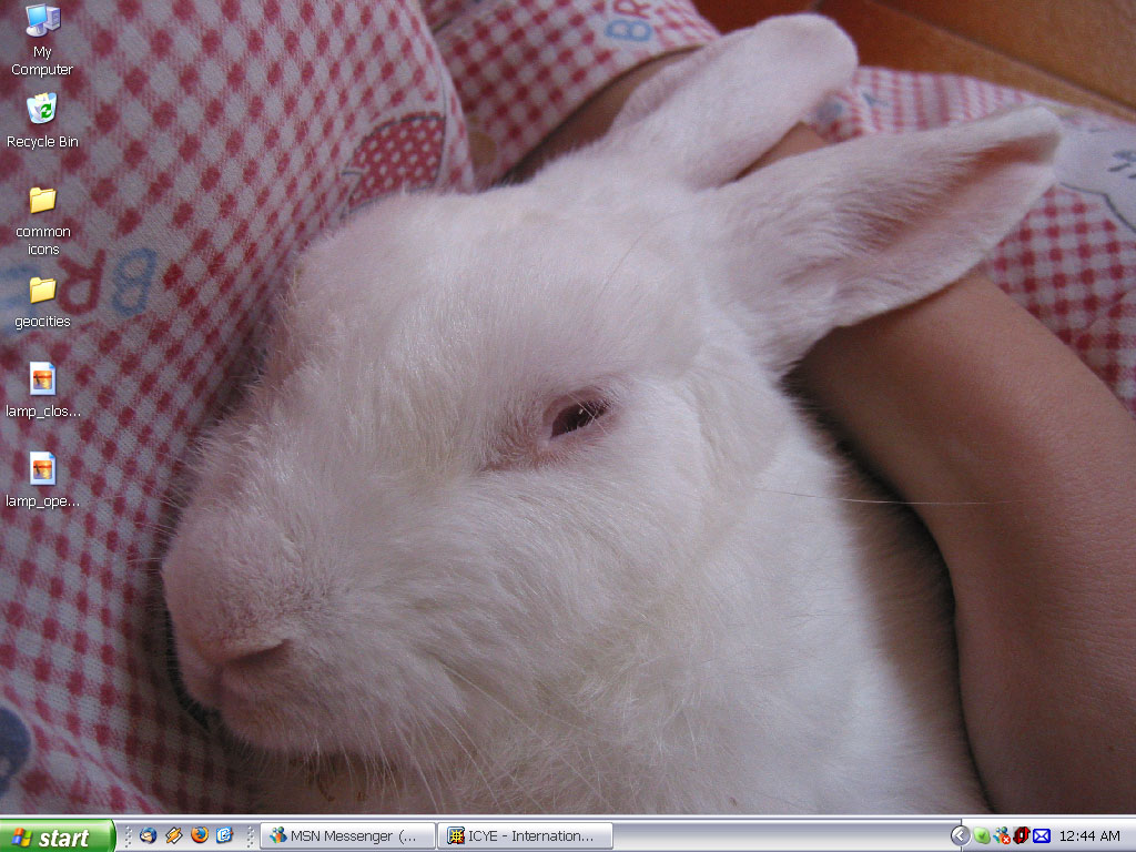 Ah Xing on my Desktop