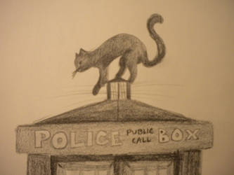 Cat-and-TARDIS