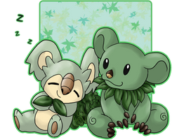 Just us Koalas...