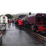 Bayer Garrett Locomotive at Beddgelert Station. 