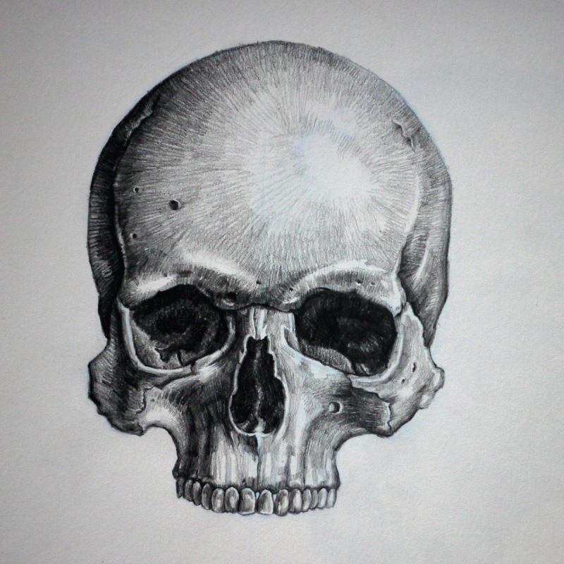 Skull01