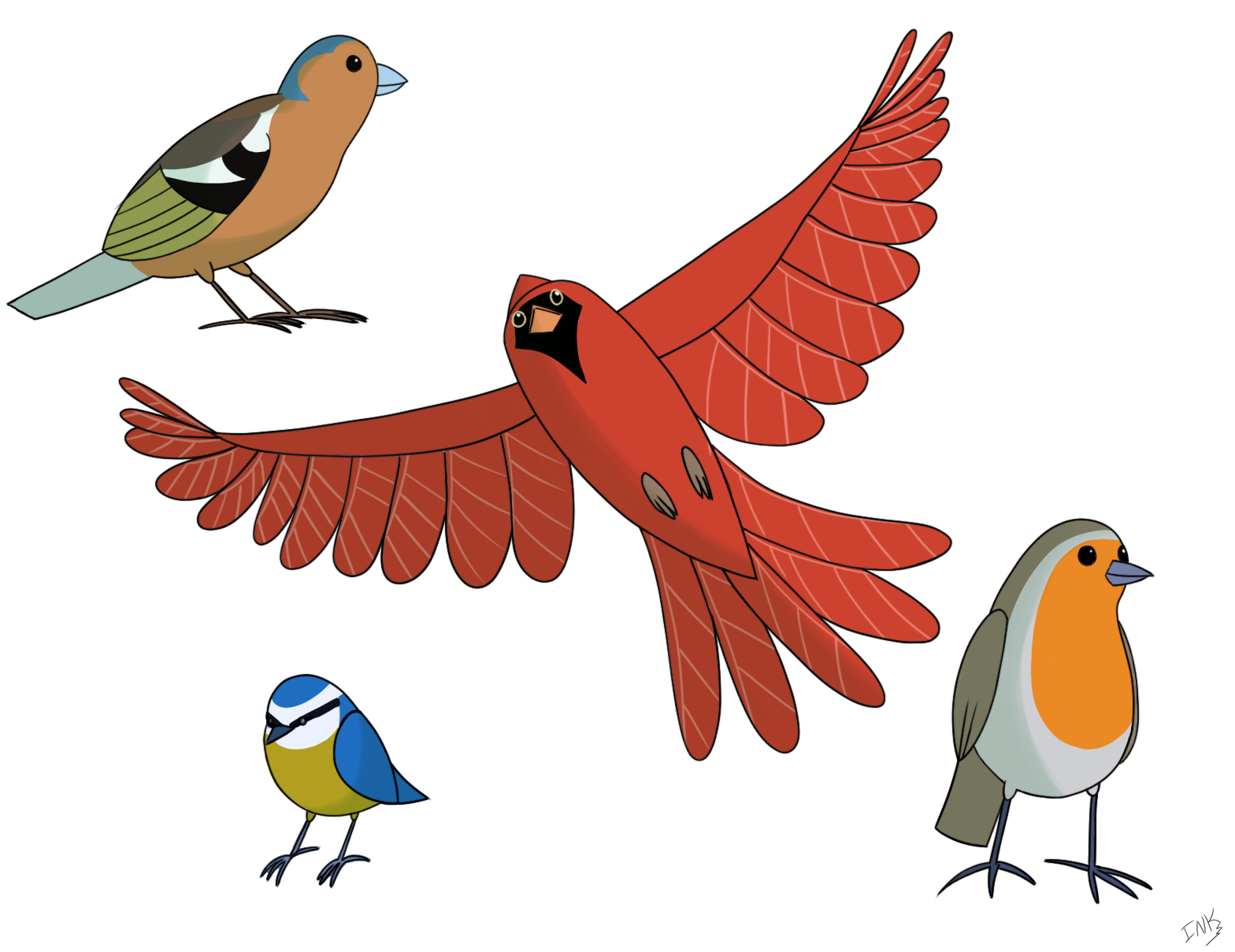 Birds
