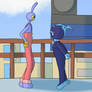 Meeting atop Suzuran High