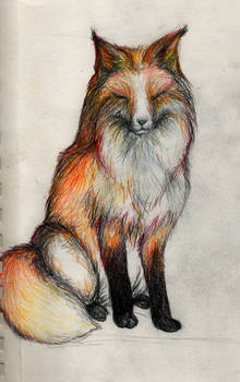 Fox Sketch for Ella