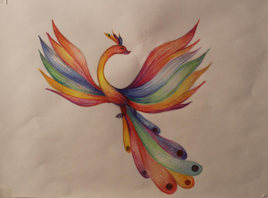 A bird