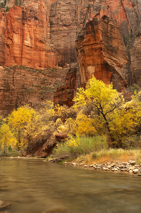 Fall in the Narrows II