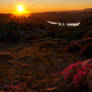 Mokelumne Wilderness Sunset