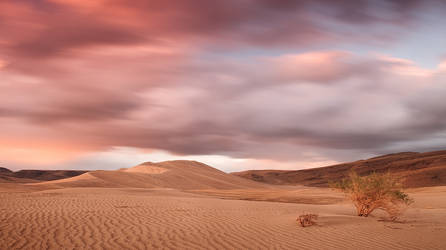 Sand Mountain, Nevada