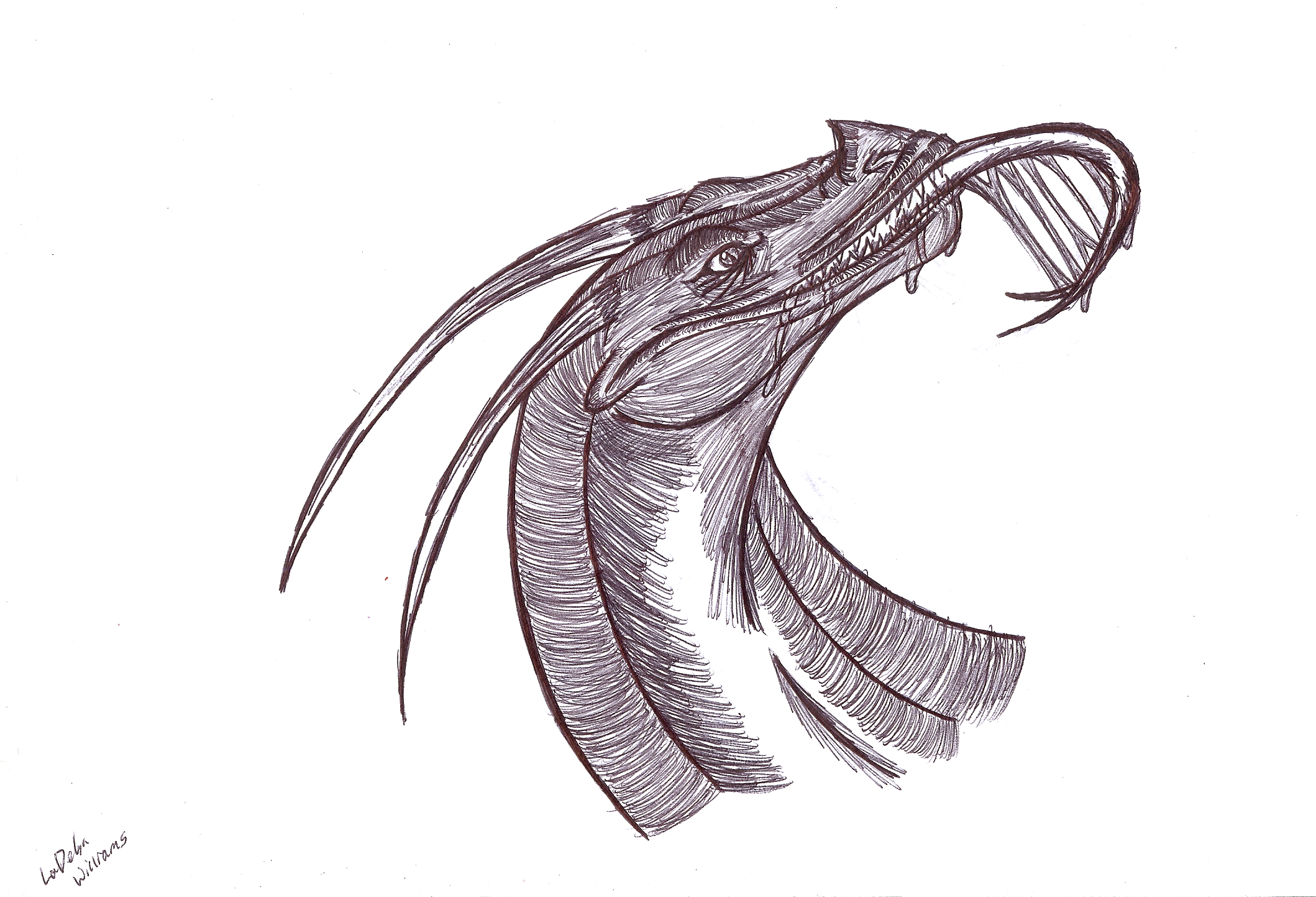 Dragon Pen Sketch 2