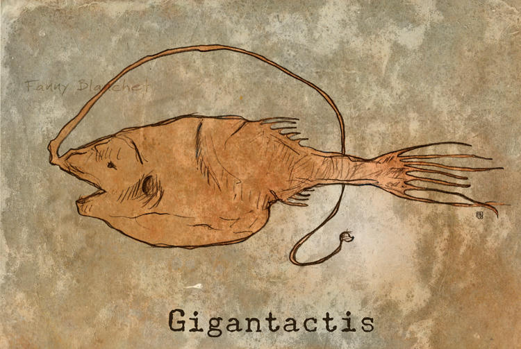 Gigantactis by Nynille on DeviantArt