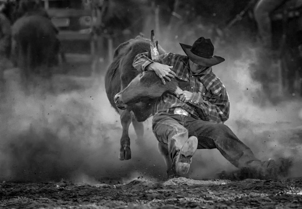 Bulldogging Bulldogging by Suzie-N on DeviantArt