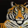 TigerinAcrylic