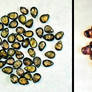 color change garnets