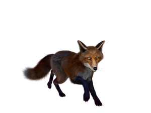 Fox2