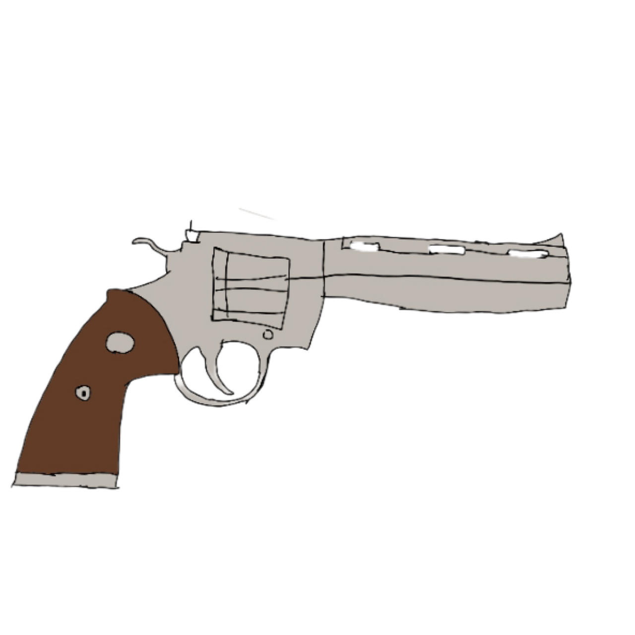 Colt Python 357 Magnum 6in Stainless Revolver by snakebit3443 on DeviantArt