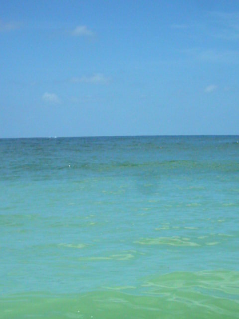 And This Is The Gulf Of Mexico