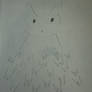 Ghost cat