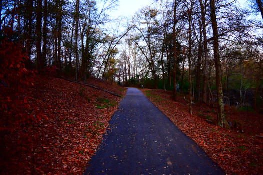 Trails of Autumn