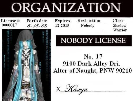 Kingdom Hearts ID -- repost