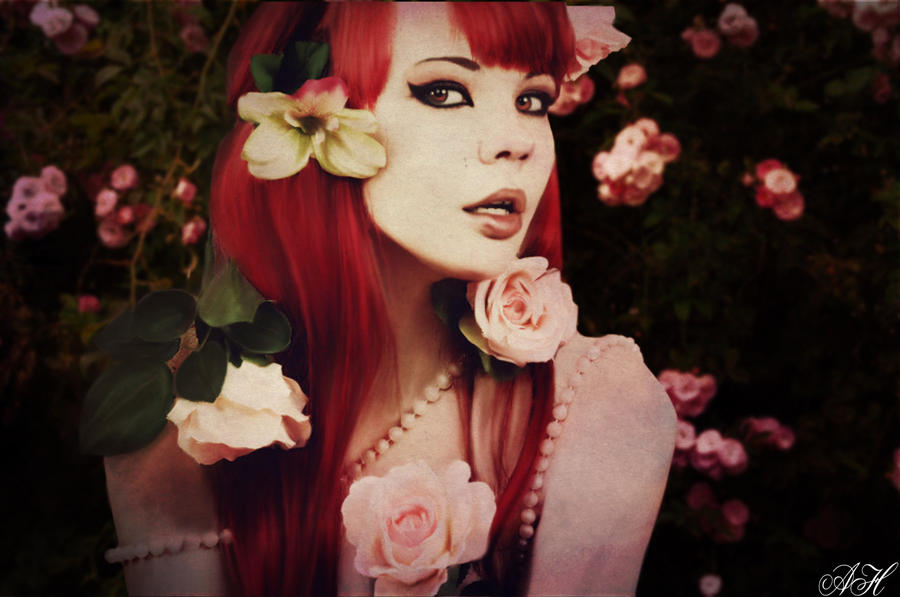 Roses by AmandaMarie89