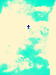 Plane in the sky