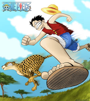 Luffy VS Cheetah