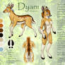 Dyani Ref - Personal Character