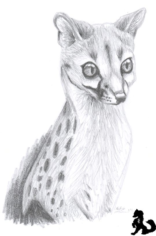 Genet