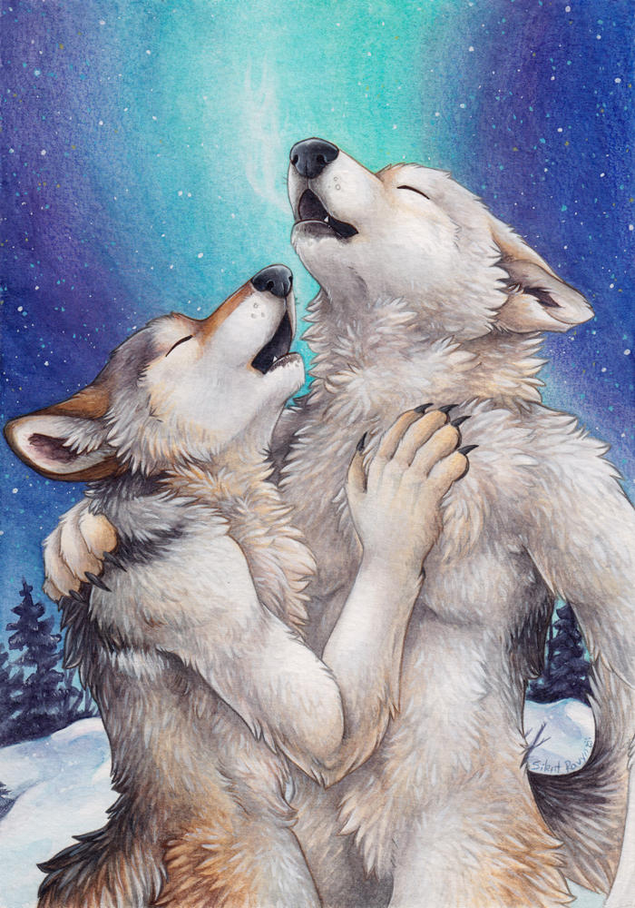 Полюбить волка. Волк и волчица. Влюблённые волки. Волки любовь. Арт влюблëнных Волков.
