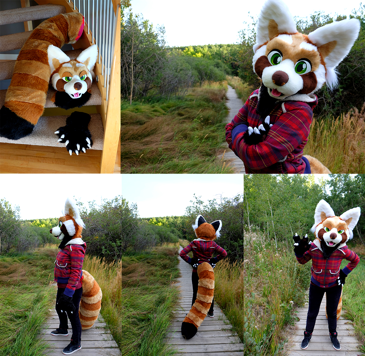 Red Panda Fursuit