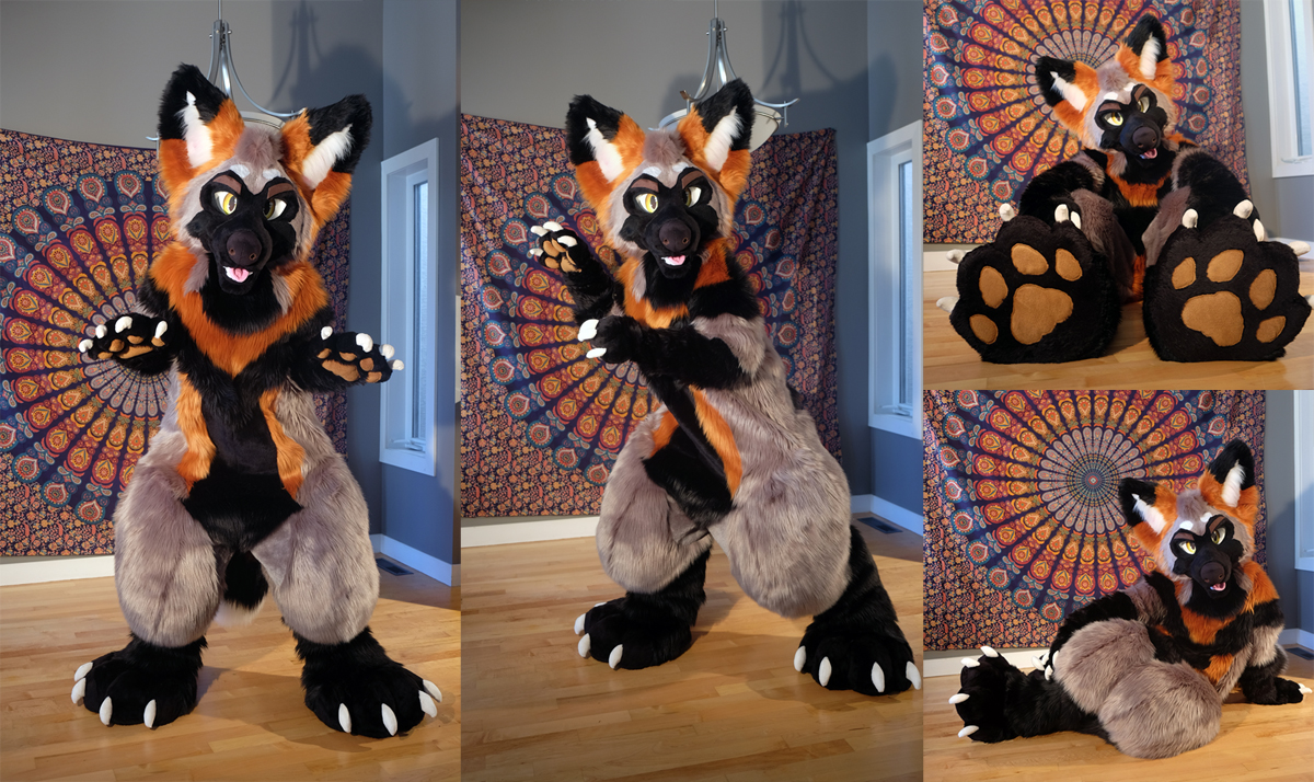 Solomon the Cross Fox Fursuit