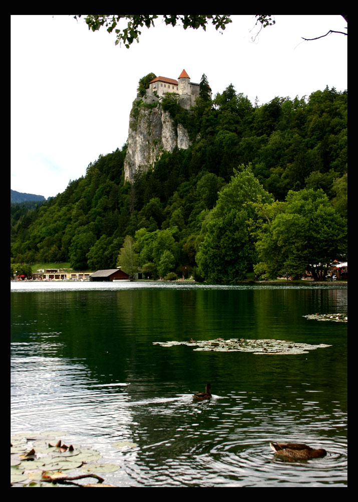 Bled - old town
