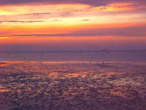 sunset at low tide II