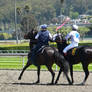 Golden Gate Fields - Racers 57