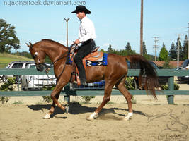 Rancho Murieta - Western 08