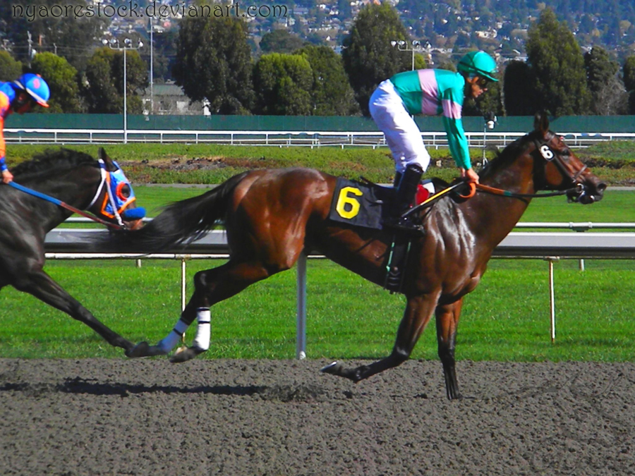 Golden Gate Fields - Racers 73